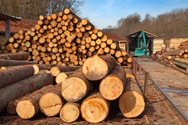 Empilement Nouveaux Montants Bois Dans Cour Bois — Photo