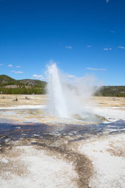 Yellowstone Ulusal Parkı 'ndaki kara kum gayzer havzası, ABD