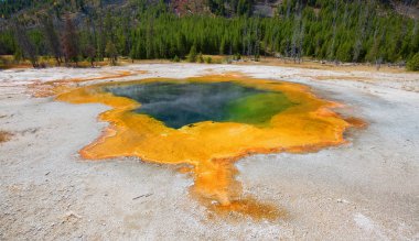 Yellowstone Ulusal Parkı 'ndaki kara kum gayzer havzası, ABD