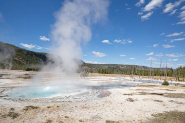 Yellowstone Ulusal Parkı 'ndaki kara kum gayzer havzası, ABD