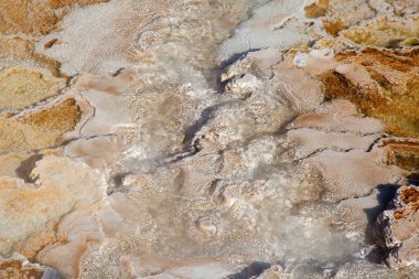 Yellowstone Ulusal Parkı 'ndaki Mamut Kaplıcaları, Wyoming, ABD
