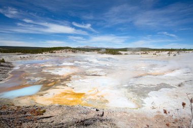 Norris gayzer havzası Yellowstone Ulusal Parkı, ABD