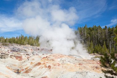 Norris gayzer havzası Yellowstone Ulusal Parkı, ABD