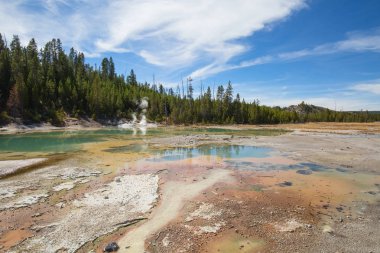 Norris gayzer havzası Yellowstone Ulusal Parkı, ABD