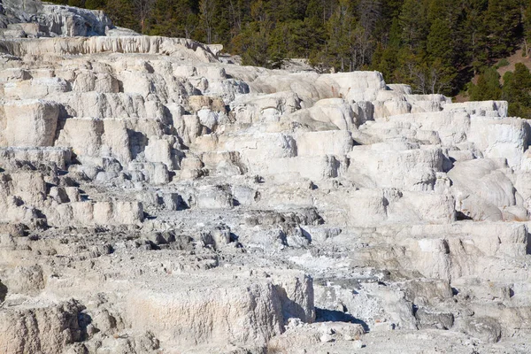 Gorące Źródła Mamuta Parku Narodowym Yellowstone Wyoming Usa — Zdjęcie stockowe