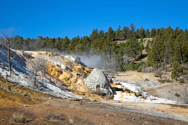 Aguas Termales Mamut Parque Nacional Yellowstone Wyoming Estados Unidos —  Fotos de Stock