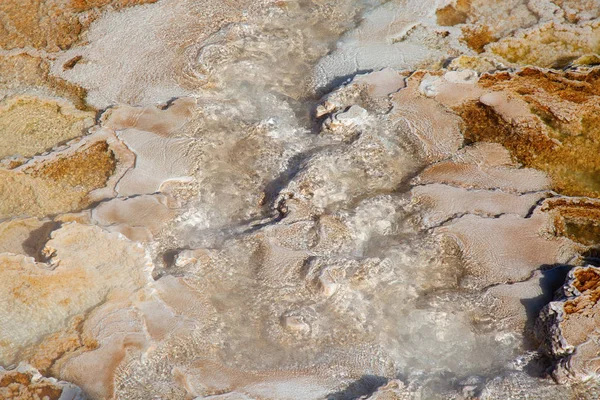 Aguas Termales Mamut Parque Nacional Yellowstone Wyoming Estados Unidos — Foto de Stock