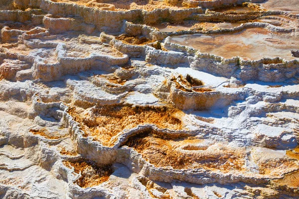 Gorące Źródła Mamuta Parku Narodowym Yellowstone Wyoming Usa — Zdjęcie stockowe