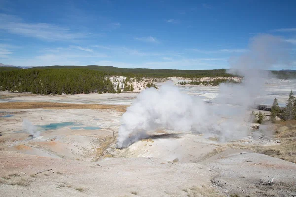 Cuenca Del Géiser Norris Parque Nacional Yellowstone Estados Unidos — Foto de Stock