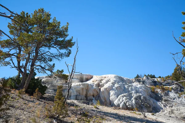 Yellowstone Ulusal Parkı Ndaki Mamut Kaplıcaları Wyoming Abd — Stok fotoğraf