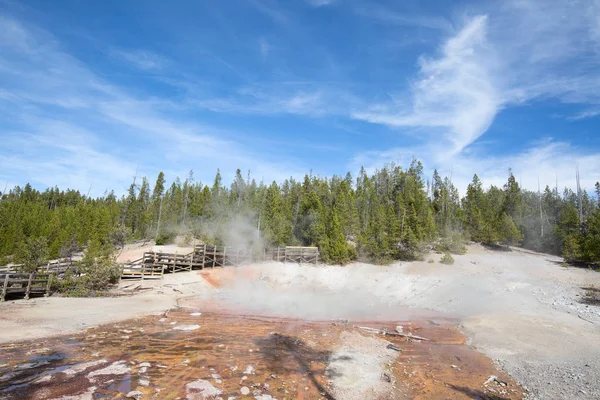 Norris gayzer havzası Yellowstone Ulusal Parkı, ABD