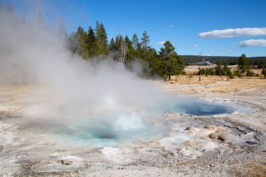 Yellowstone Ulusal Parkı 'nda gayzer patlaması, ABD