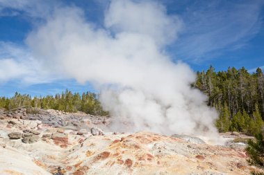 Yellowstone Ulusal Parkı 'nda gayzer patlaması, ABD