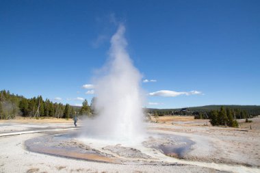 Yellowstone Ulusal Parkı 'nda gayzer patlaması, ABD