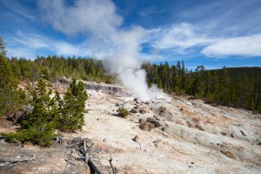 Yellowstone Ulusal Parkı 'nda gayzer patlaması, ABD