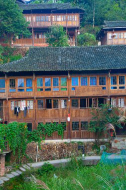 Longji pirinç terasları