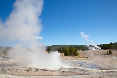 Yellowstone Ulusal Parkı 'nda gayzer patlaması, ABD