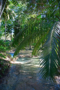 Dunn'ın River Falls