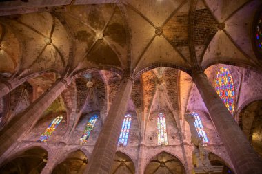 bir Palma de mallorca
