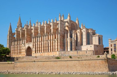 bir Palma de mallorca