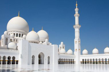 Sheikh zayed Camisi