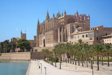bir Palma de mallorca