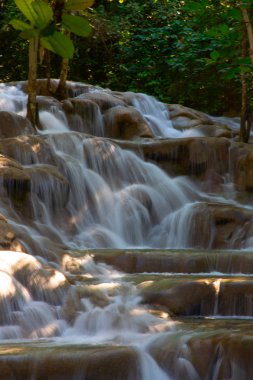 Dunn's river falls clipart