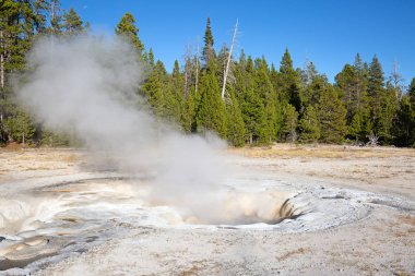 Yellowstone Ulusal Parkı 'nda gayzer patlaması, ABD
