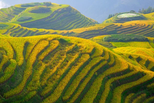 Terraços de arroz longji — Fotografia de Stock