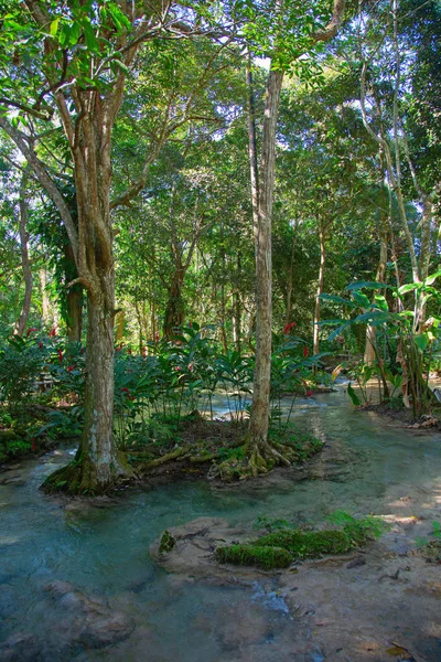 Dunn 's River Falls —  Fotos de Stock