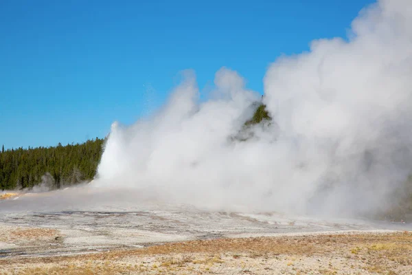 Eruzione Geyser Nel Parco Nazionale Yellowstone Usa — Foto Stock