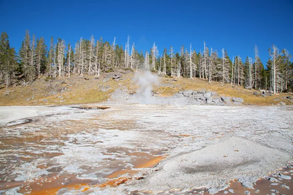 Erupción Géiser Parque Nacional Yellowstone Estados Unidos —  Fotos de Stock