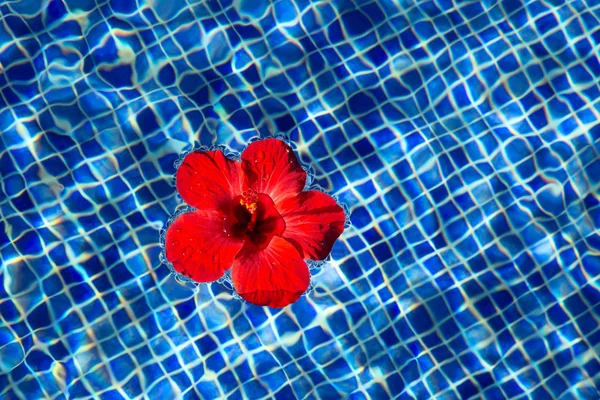 Bela água da piscina clara — Fotografia de Stock