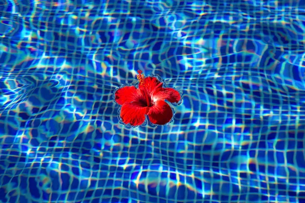 Bela água da piscina clara — Fotografia de Stock