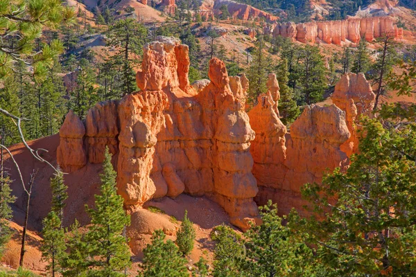 Bryce canyon — Stock Photo, Image