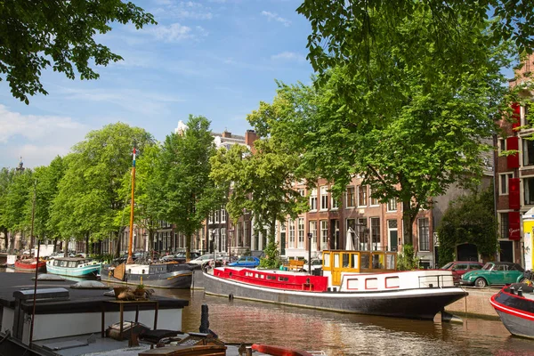 Amsterdammer — Stockfoto