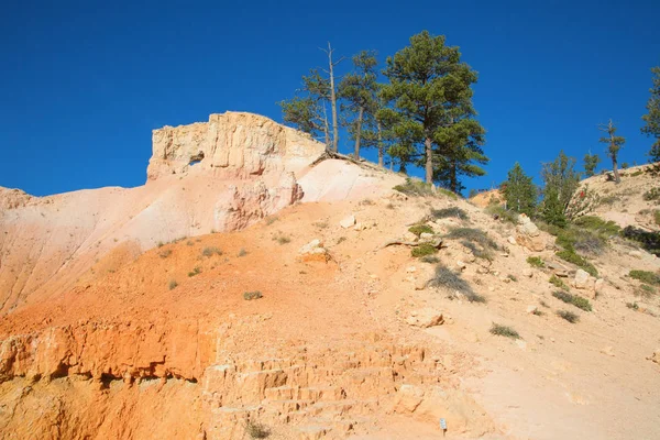 Bryce Canyon Ordförande — Stockfoto