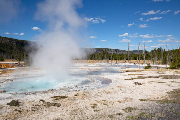 Geyser eruption in the Yellowstone national park, USA