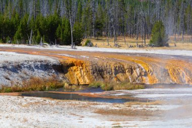Siyah kum Şofben Havzası