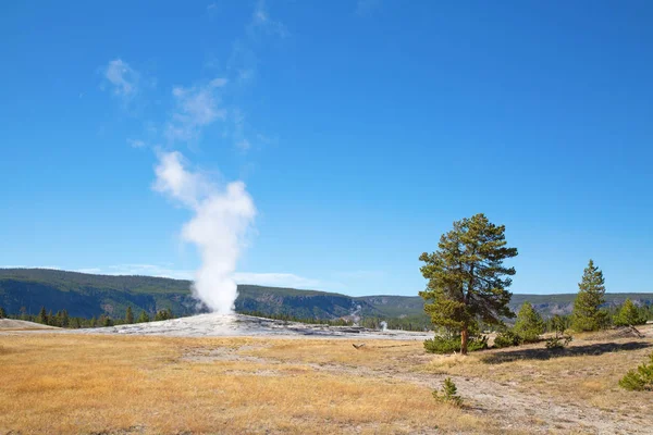 Geyser — Stock Photo, Image