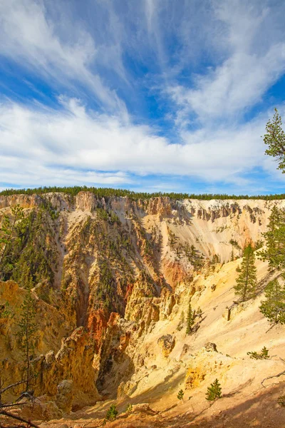 Cañón de Yellowstone — Foto de Stock