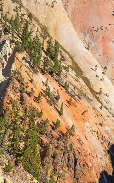 Cañón de Yellowstone —  Fotos de Stock