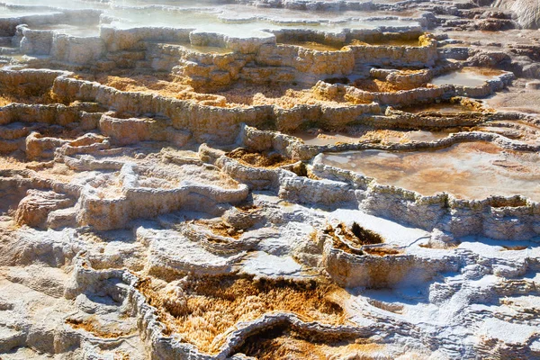 Mammoth hot springs — Stock Fotó