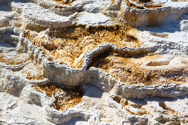 Mamut kaplıcalar — Stok fotoğraf