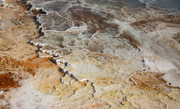 Mammoth hot springs — Stock Fotó