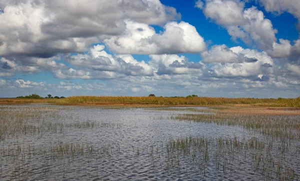 Everglades