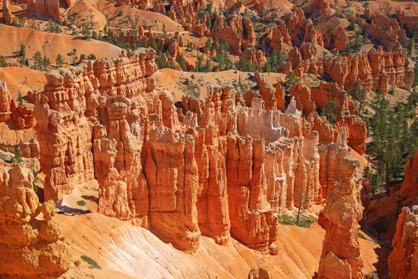 Bryce Canyon Ordförande — Stockfoto