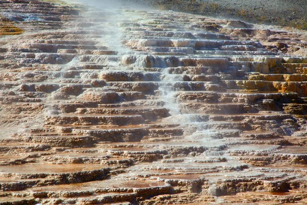 Mamute Hot Springs — Fotografia de Stock