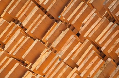 taze ahşap Çıtçıt