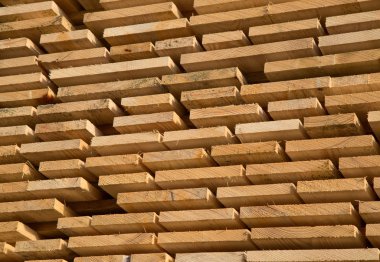 taze ahşap Çıtçıt